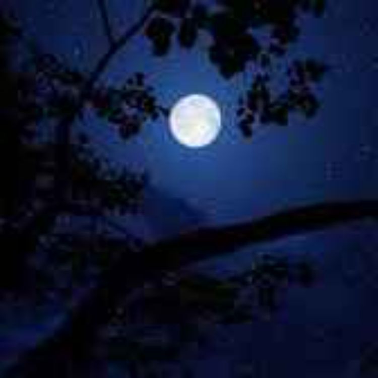 cover art for Gethsemane