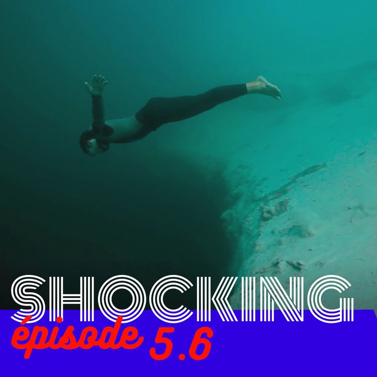 cover art for Une vie en anthroposophie 6/6, avec Grégoire Perra - SHOCKING #5