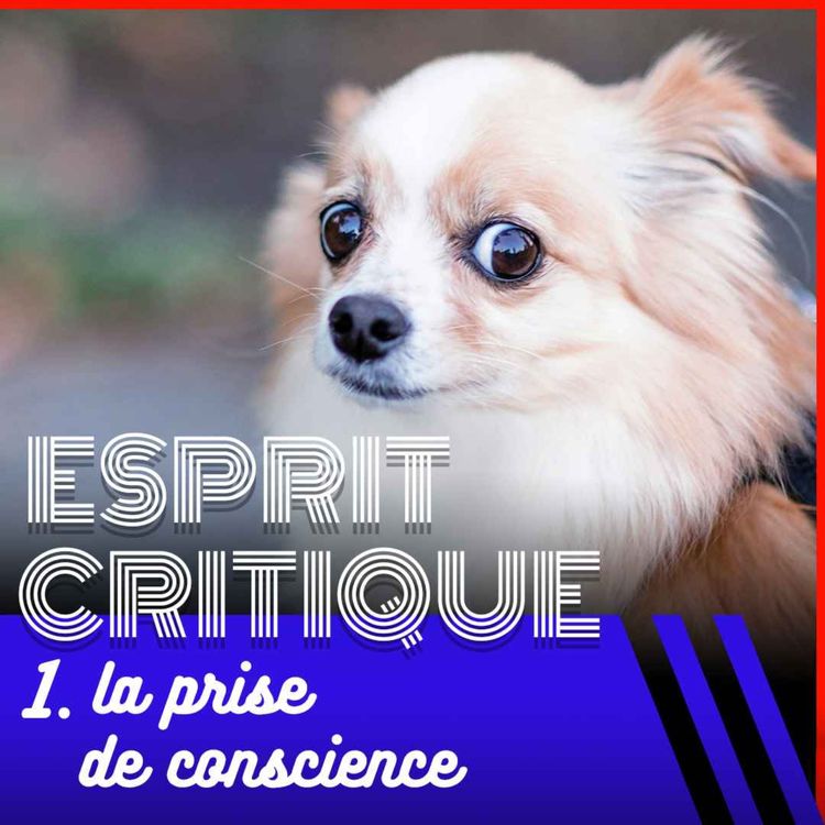cover art for L’esprit critique, ça s’apprend ? 1/4, avec Christophe Adourian — SHOCKING #32