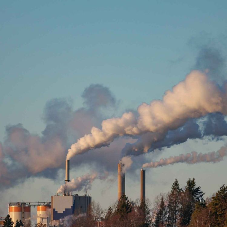 cover art for Breathing unequal air in the UK