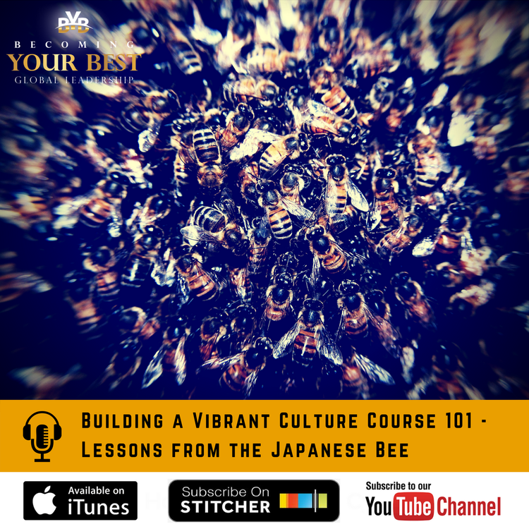cover art for Building a Vibrant Culture Course 101 - Lessons from the Japanese Bee