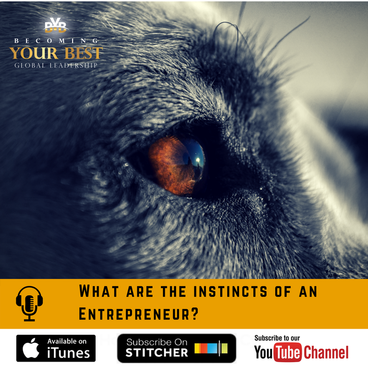 cover art for What are the instincts of an Entrepreneur?