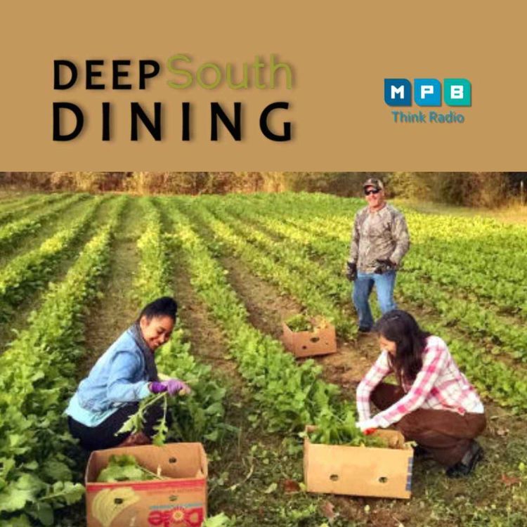 cover art for Deep South Dining | Gleaning to End Hunger