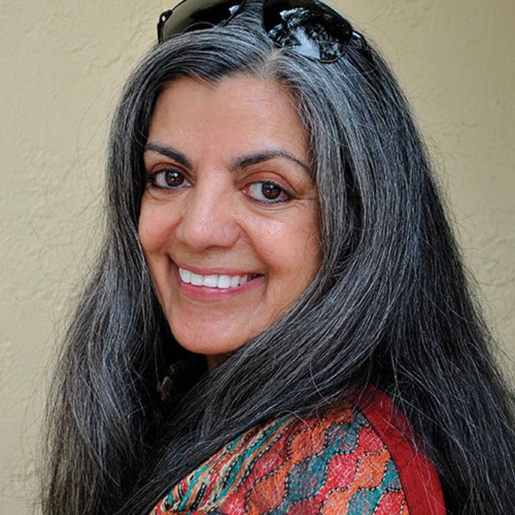 cover art for Write On, Mississippi Chapter 13: Mamta Chaudhry