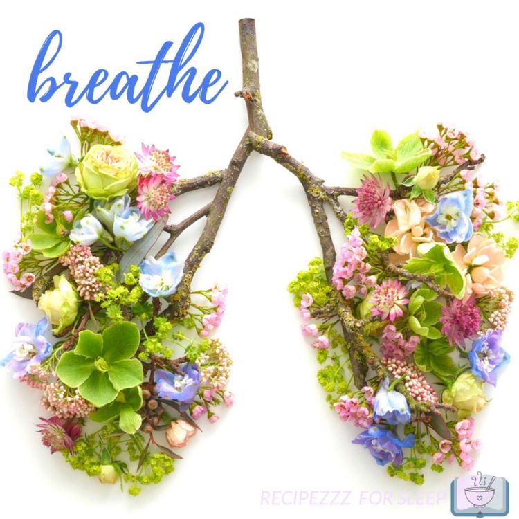 cover art for Special Episode: Breathwork - Basic Breathing