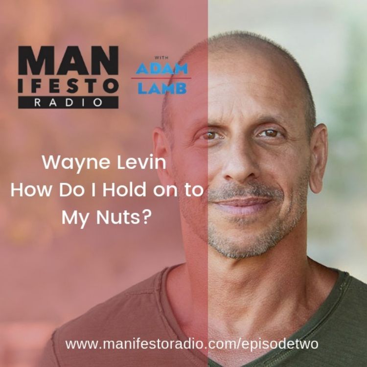 cover art for Wayne Levin | How Do I Hold On to My Nuts?
