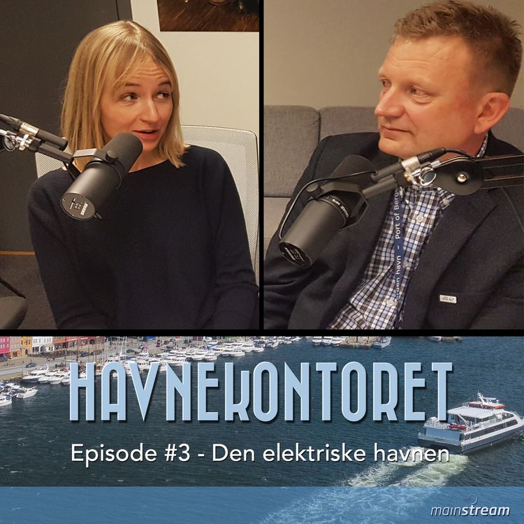 cover art for #03 - Den elektriske havnen