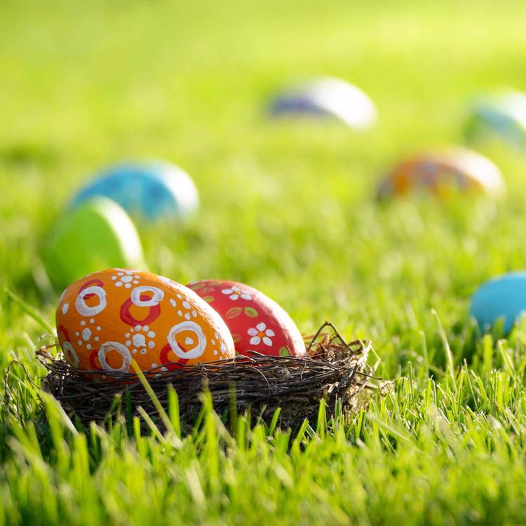 cover art for Grün grün grün sind alle meine Kleider