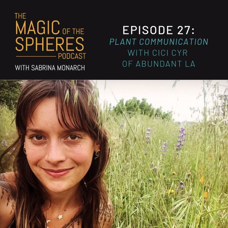 cover art for Plant Communication with Cici Cyr of Abundant LA