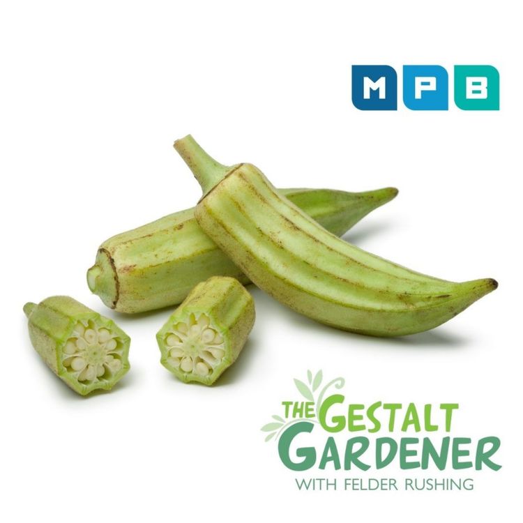 cover art for The Gestalt Gardener: Not Too Late