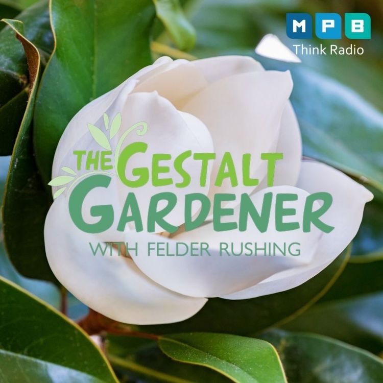 cover art for The Gestalt Gardener:  Missing Mississippi
