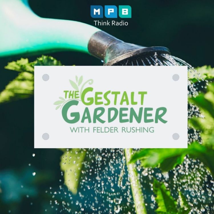 cover art for The Gestalt Gardener: September Water