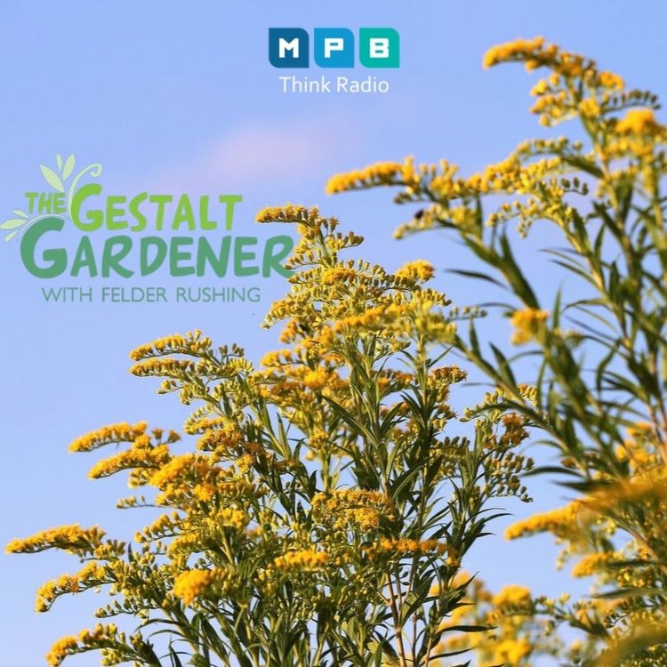 cover art for The Gestalt Gardener: Golden Garden