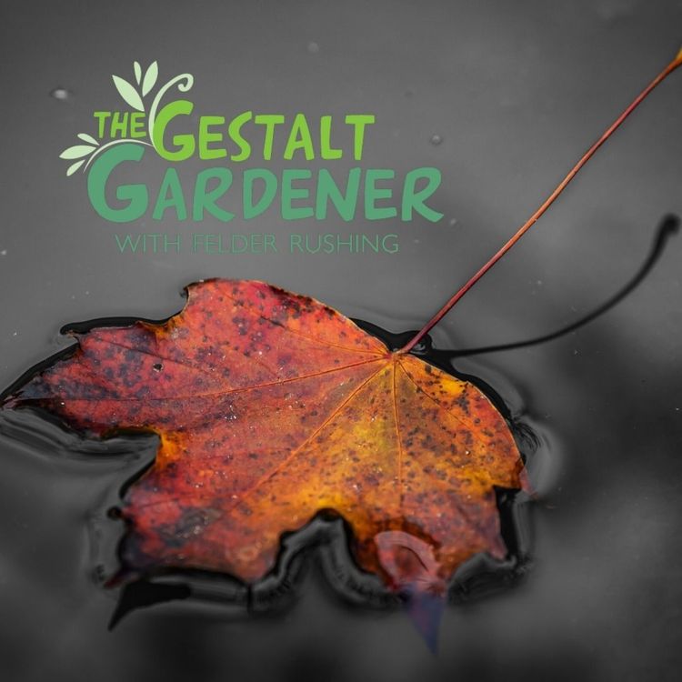 cover art for The Gestalt Gardener: After The Rain