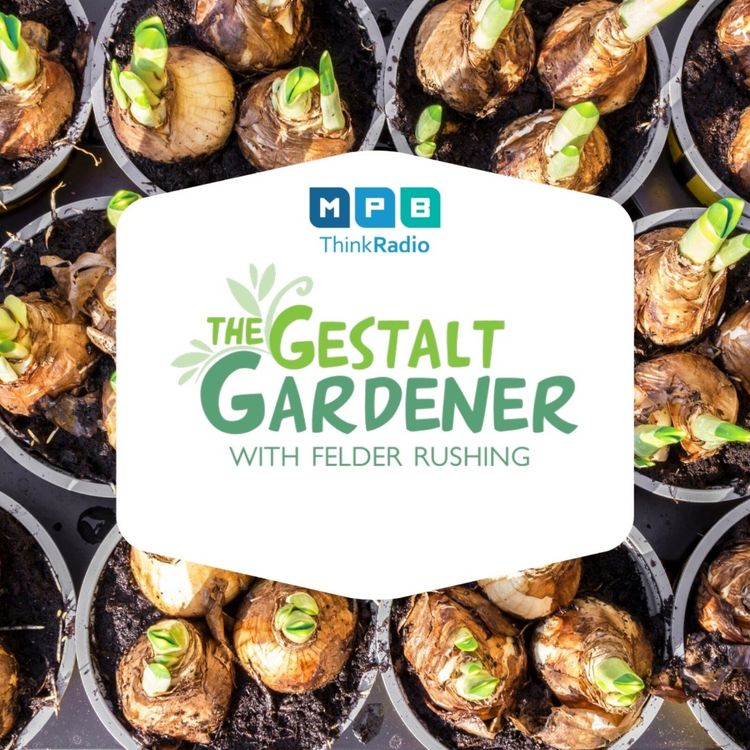 cover art for The Gestalt Gardener | Oklahoma