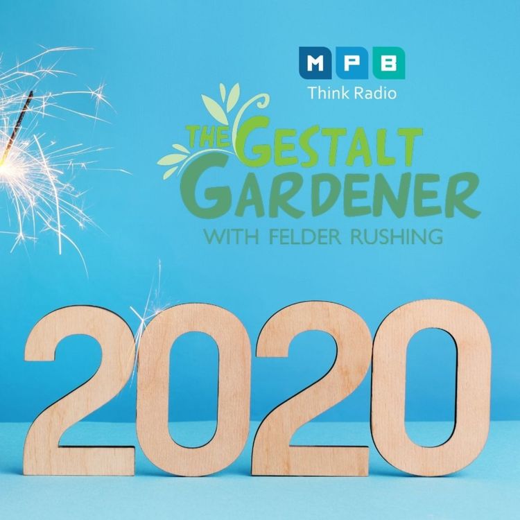 cover art for New Year, Same Felder:  2020 Vision