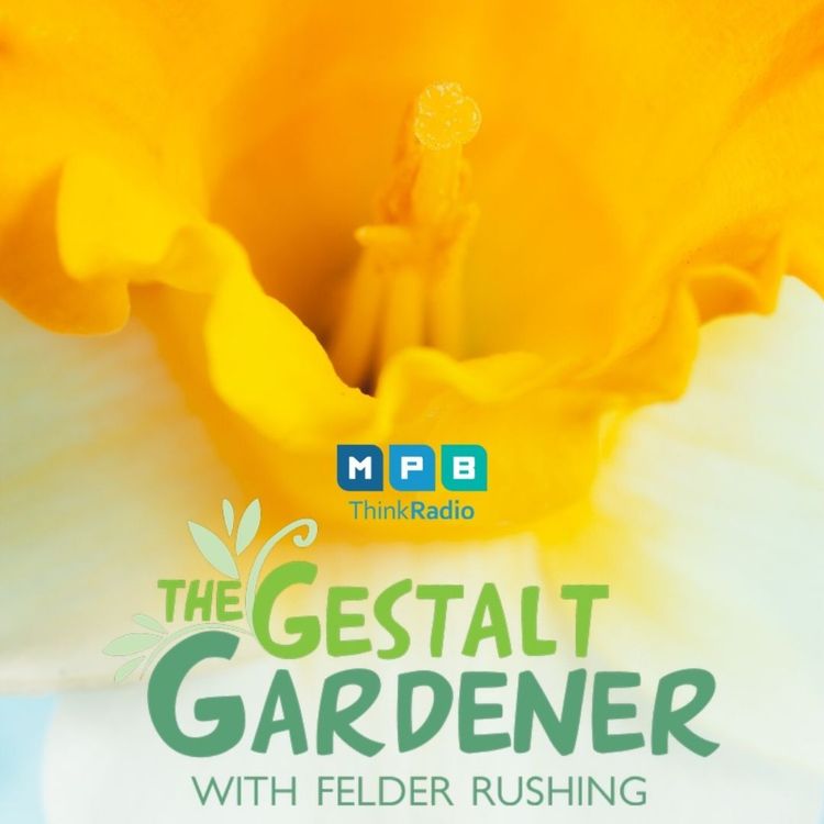 cover art for The Gestalt Gardener: Felder's Favorites