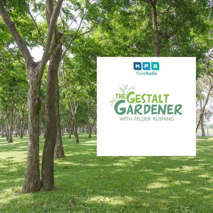 cover art for The Gestalt Gardener: Planting Trees