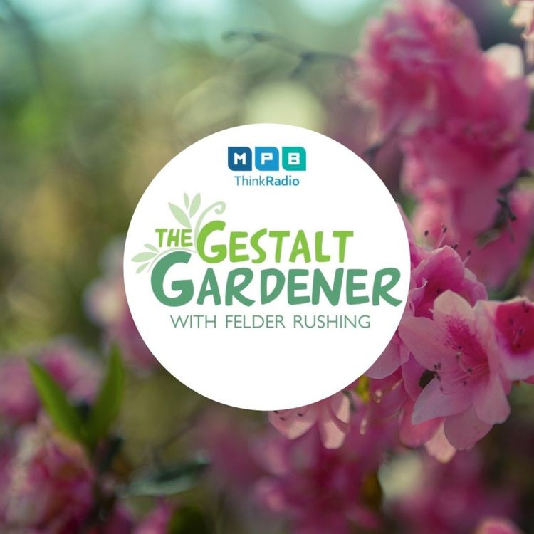 cover art for The Gestalt Gardener:  Almost There