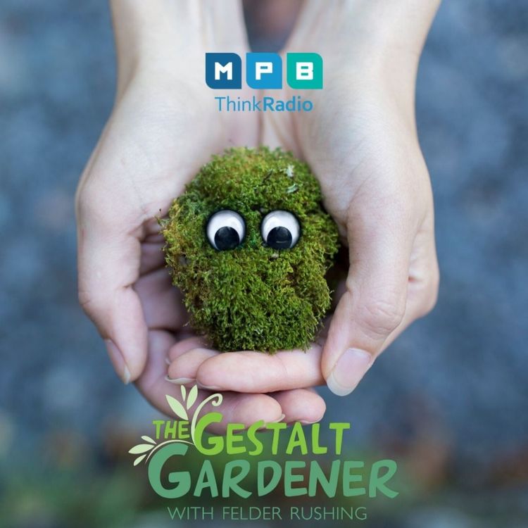 cover art for The Gestalt Gardener:  Weird Moss