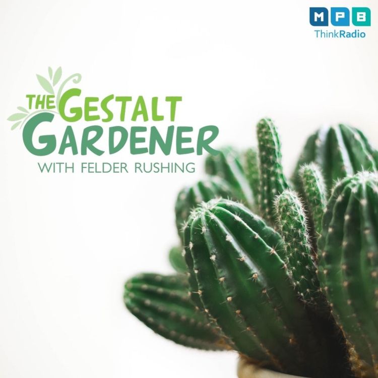 cover art for The Gestalt Gardener: My Pet Thorn
