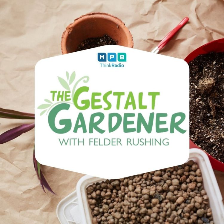 cover art for The Gestalt Gardener:  Get Dirty, But Wash Your Hands