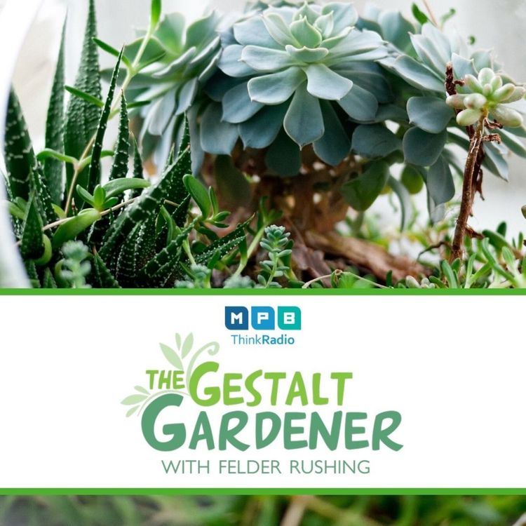 cover art for The Gestalt Gardener: New Garden