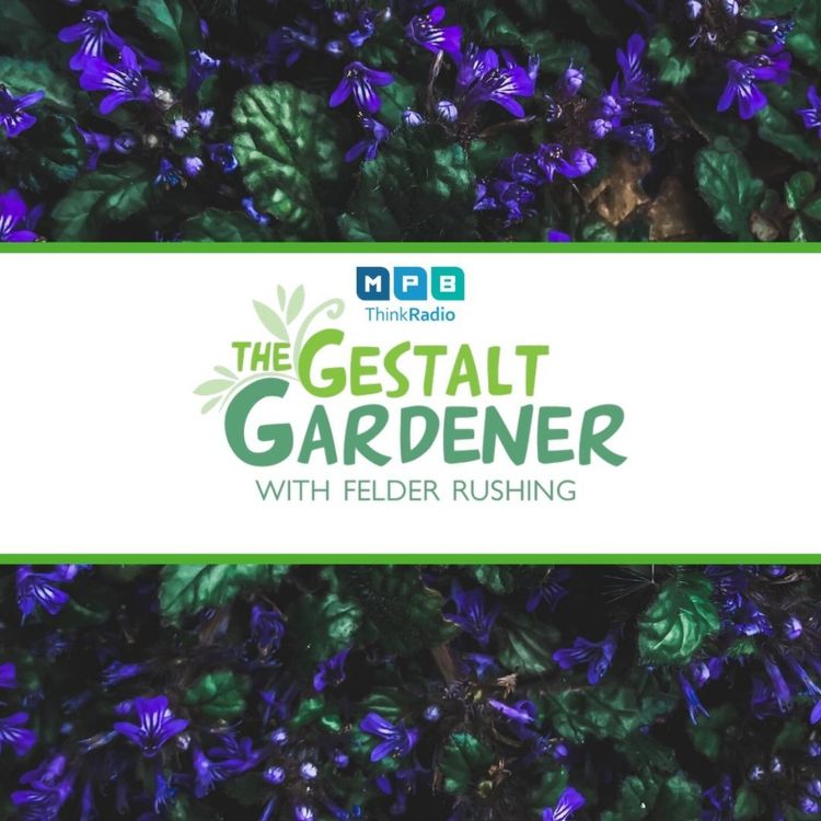 cover art for The Gestalt Gardener: Purple Teepee