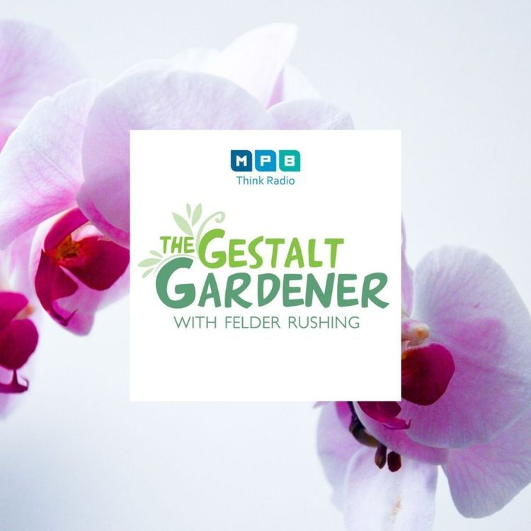 cover art for The Gestalt Gardener: Healing Garden
