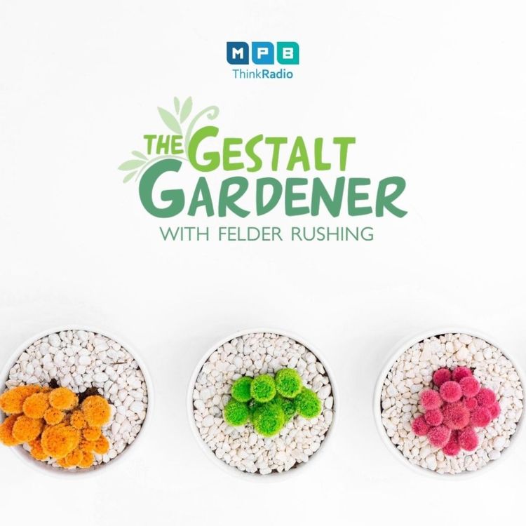 cover art for The Gestalt Gardener | Summer Summer