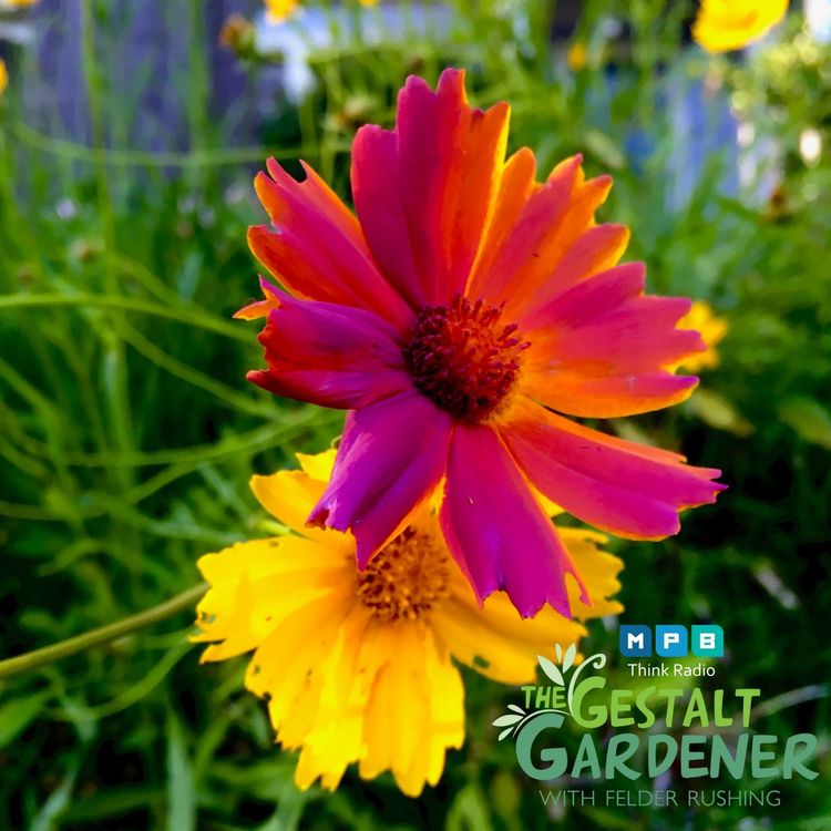 cover art for The Gestalt Gardener | Just A Little Paint
