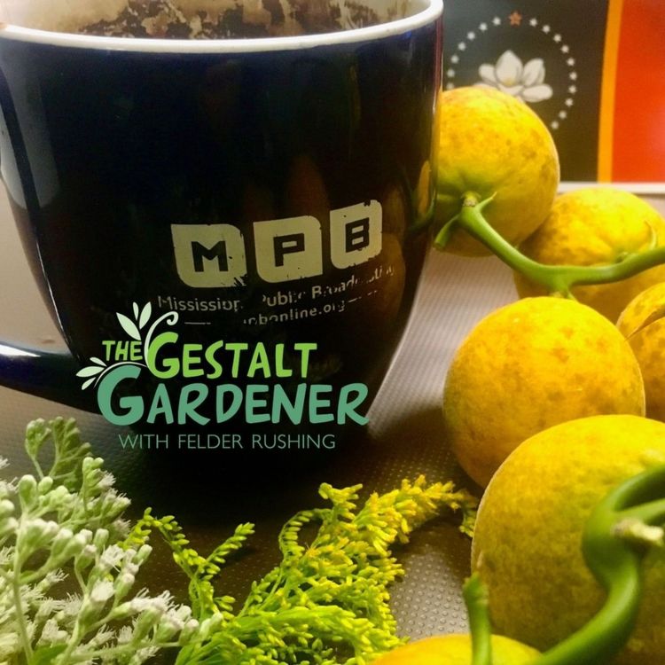 cover art for The Gestalt Gardener | Wild Citrus & Berries