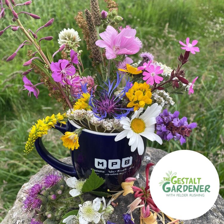 cover art for The Gestalt Gardener | New Mug Felder