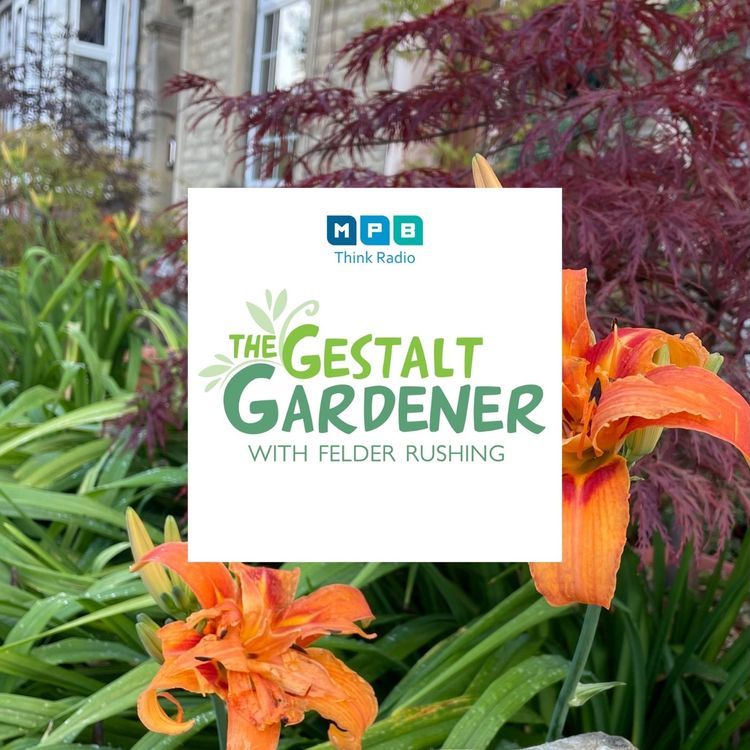 cover art for The Gestalt Gardener | Bye Bye July