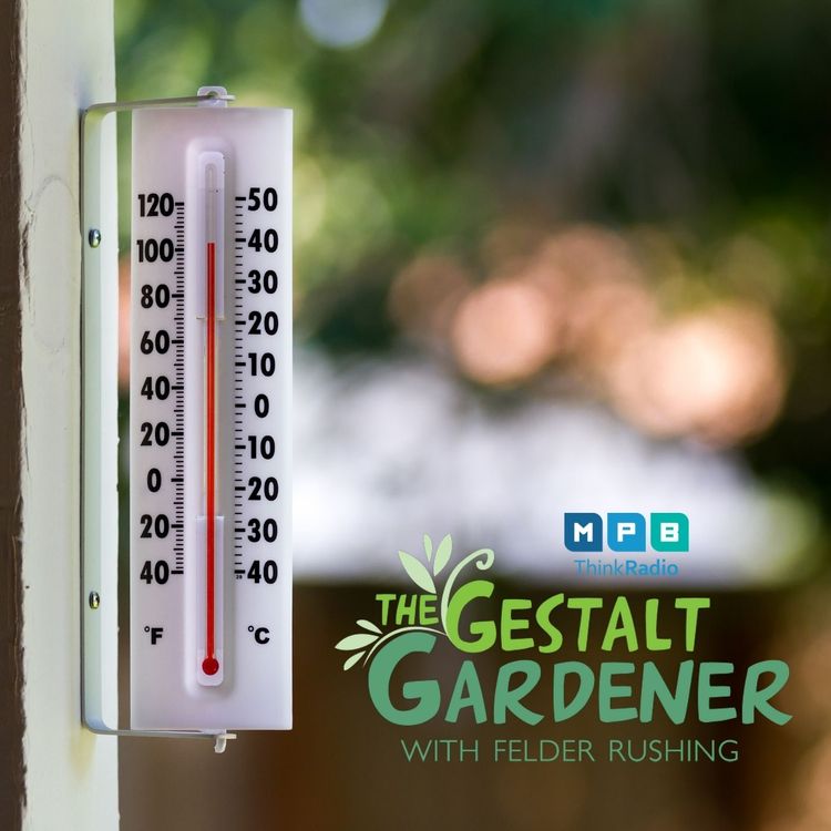 cover art for The Gestalt Gardener | Heat Hot