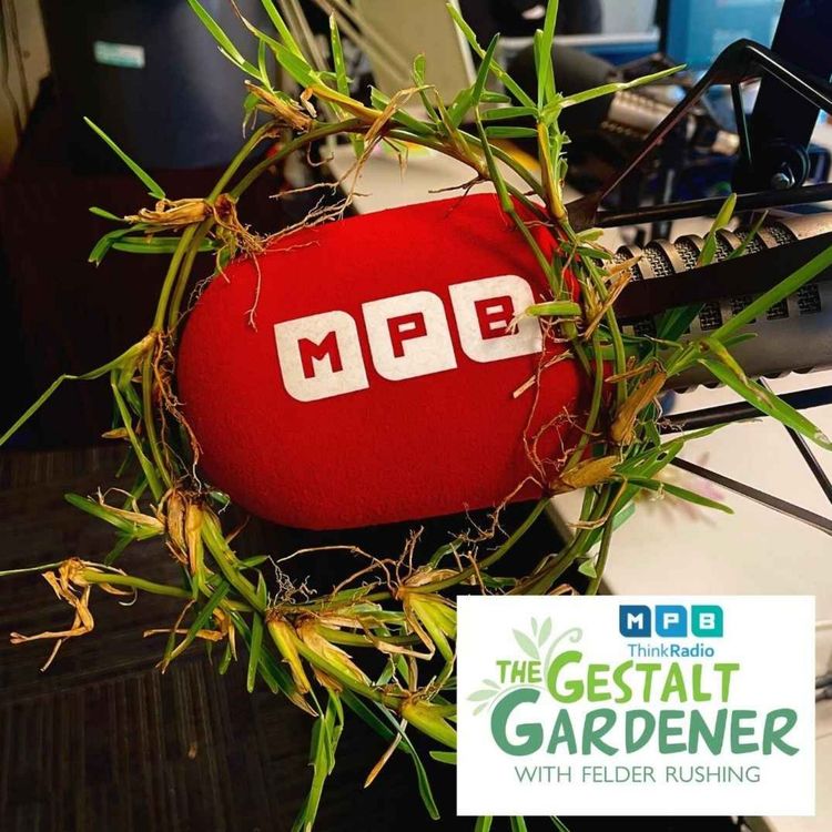 cover art for The Gestalt Gardener | Grassroots