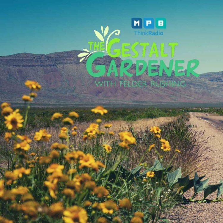 cover art for The Gestalt Gardener | West Texas Trip