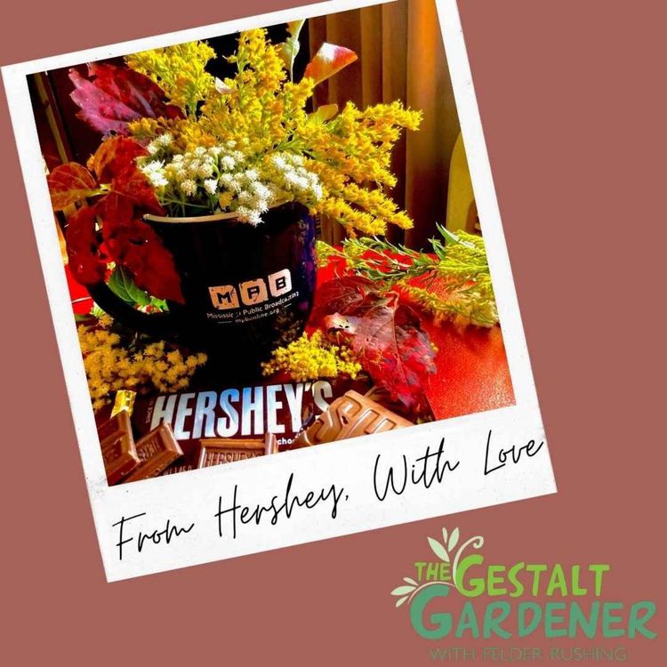 cover art for The Gestalt Gardener | From Hershey, With Love