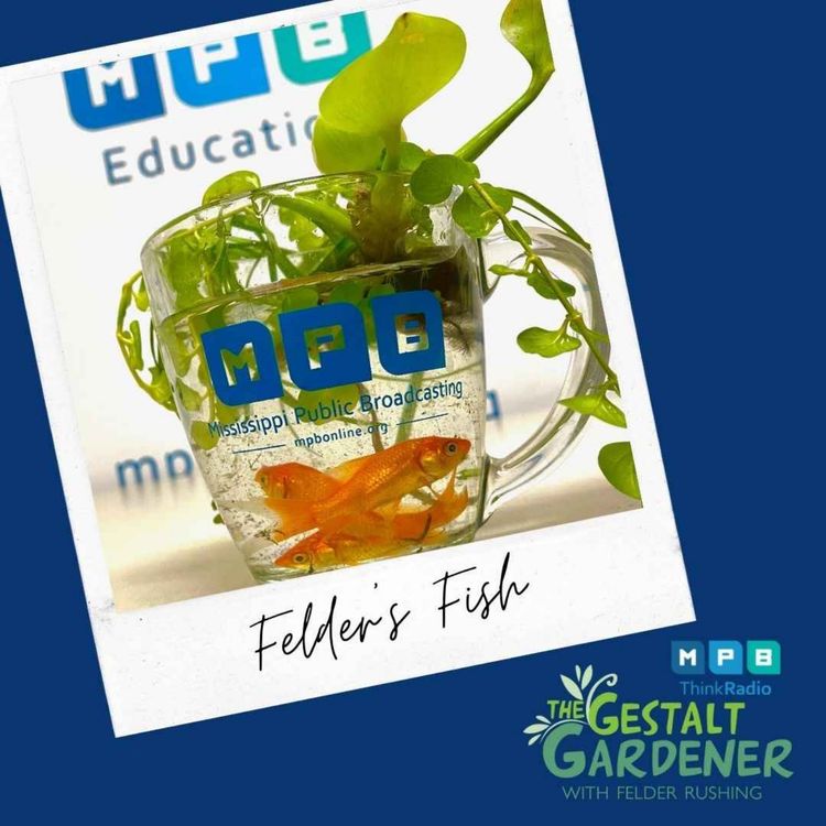 cover art for The Gestalt Gardener | Felder's Fish