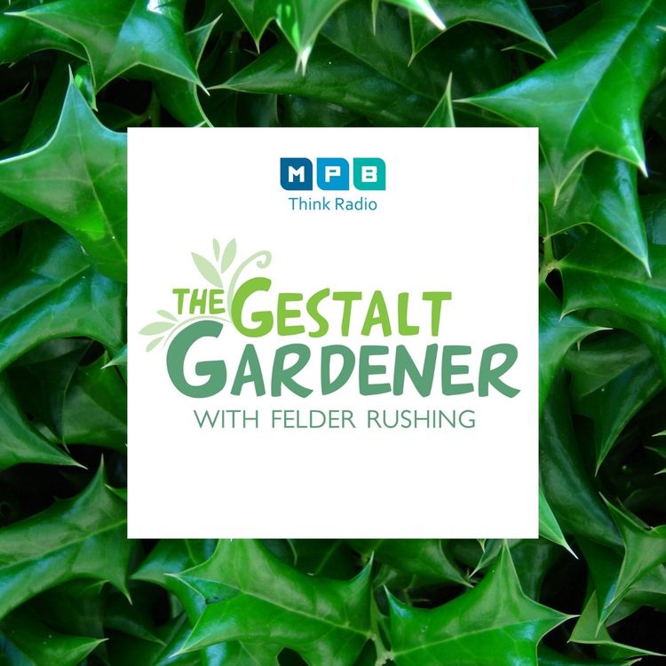 cover art for The Gestalt Gardener | Sticker Bush