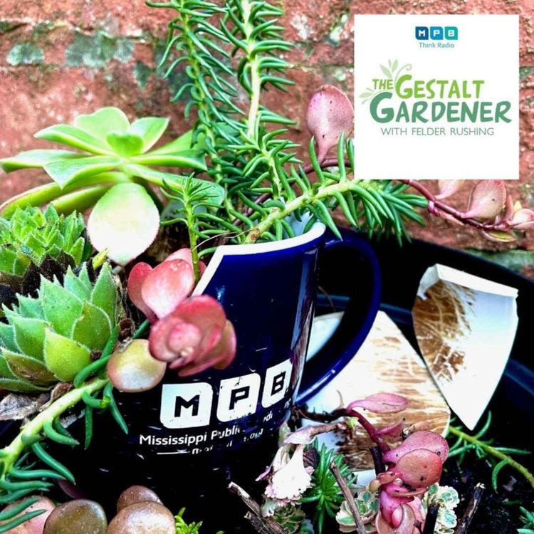 cover art for The Gestalt Gardener | Broken Pieces
