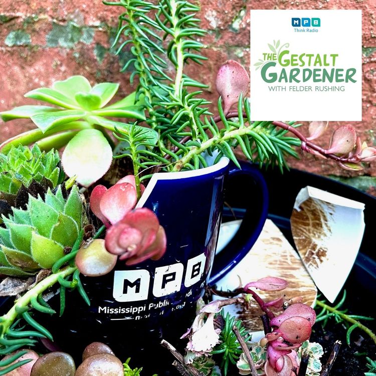 cover art for The Gestalt Gardener | The Broken Pieces