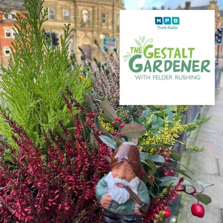 cover art for The Gestalt Gardener | Fence Post Farm