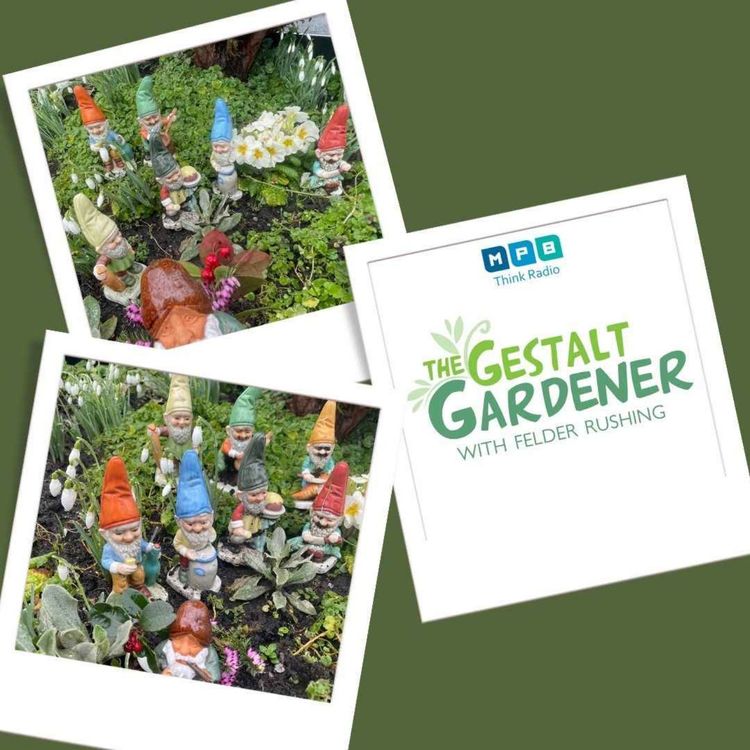 cover art for The Gestalt Gardener | Gnome Place Like Home