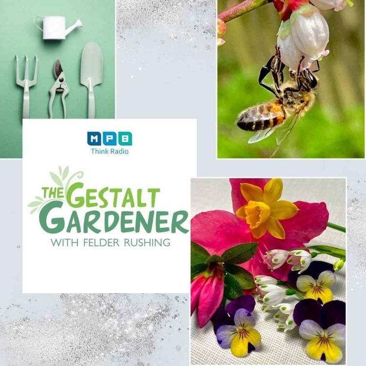 cover art for The Gestalt Gardener | For The Bugs