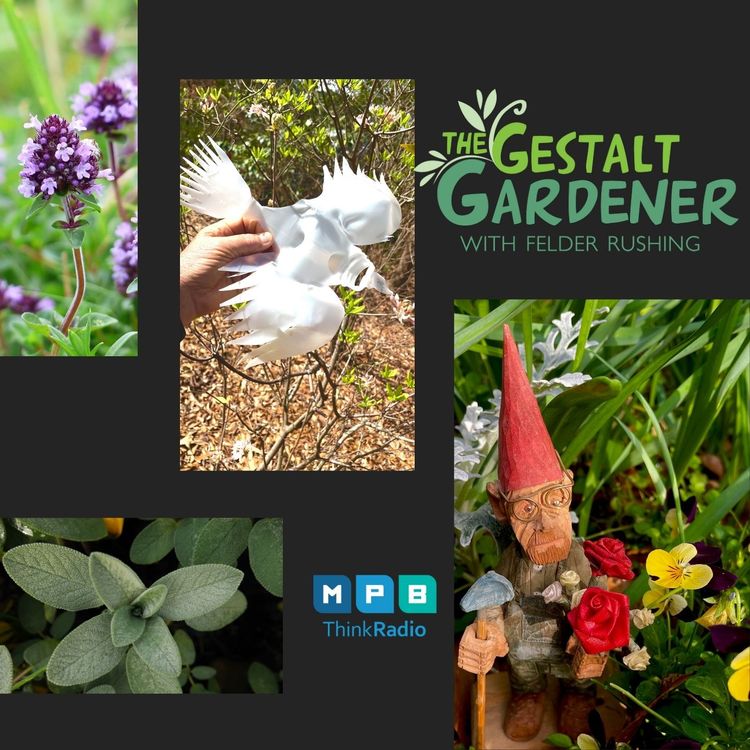 cover art for The Gestalt Gardener | H is for Herbs