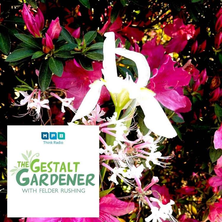 cover art for The Gestalt Gardener | Native Planters