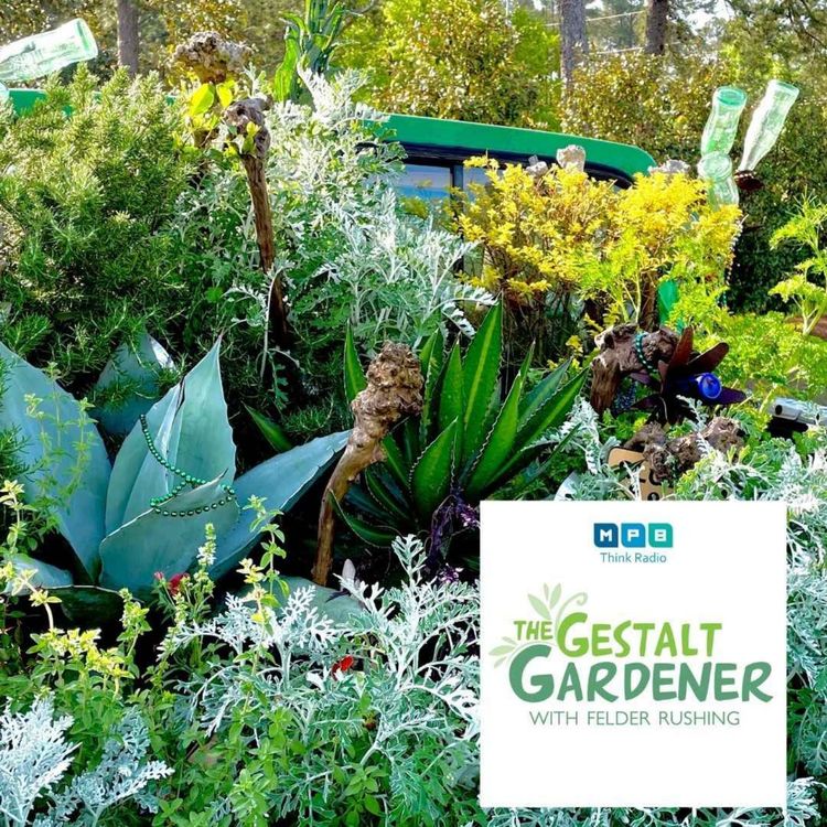 cover art for The Gestalt Gardener | Mow Higher
