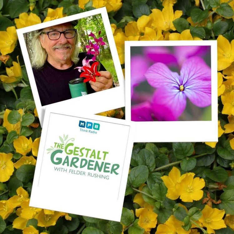 cover art for The Gestalt Gardener | Big Stepper