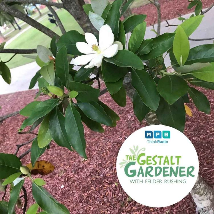 cover art for The Gestalt Gardener | Pollinators United